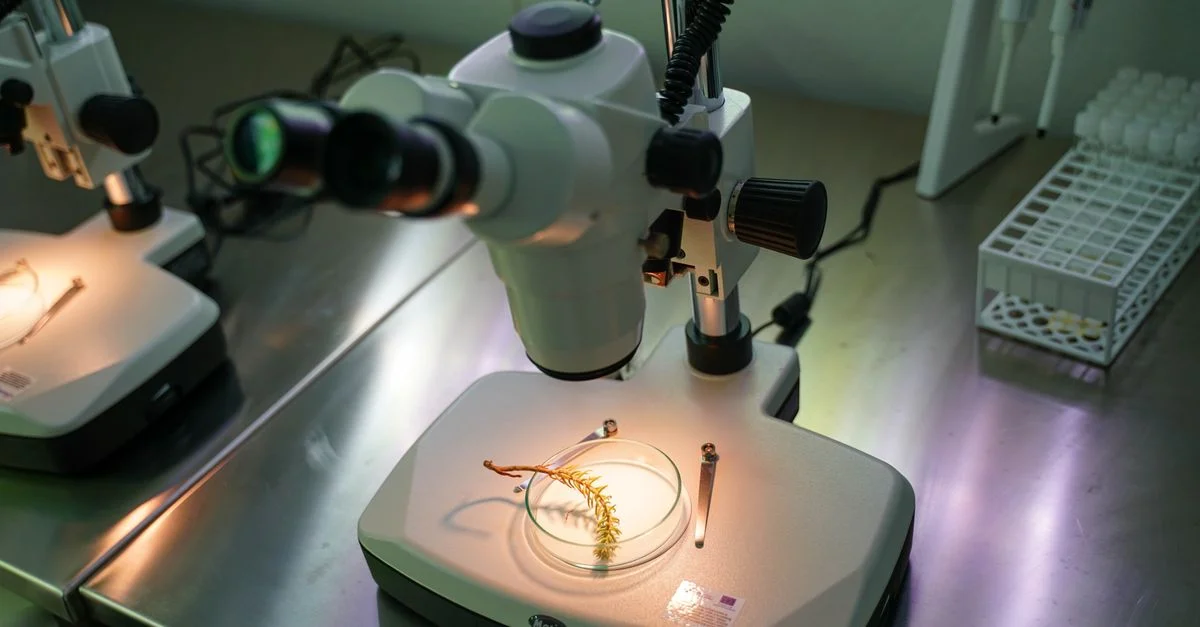 Microscopes avec des échantillons biologiques dans un laboratoire, montrant la science en action.
